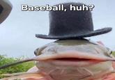 A catfish with a top hat saying, "Baseball, Huh?" akin to the "YouTube":https://knowyourmeme.com/memes/sites/YouTube "spam":https://knowyourmeme.com/memes/spam-spammed comment trend "meme":https://knowyourmeme.com/memes/memes.