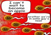 I can't wait to become an apple brother we're in some guy's nose
