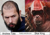 Andrew Tate TotallyLooksLike.com Skar King