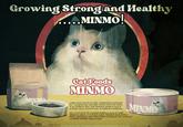 Growing Strong and Healthy ...MINMO! MINMO Cat Foods MINMO MINMO LOREM IPSUM DOLOR SIT AMET, CONSECTETUR ADIPISCING ELIT. CURABITUR NEC ODIO EGET METUS PORTTITOR PORTA. UT EU PHARETRA ARCU. DUIS RHONCUS SAPIEN IN IACULIS ULTRICES. NULLA VOLUTPAT NISL AC EGESTAS ELEMENTUM. SED AT DOLOR EU DUI SODALES FRINGILLA. ETIAM SIT AMET BIBENDUM AUGUE, UT ULTRICES AUGUE. PRAESENT QUIS VIVERRA PURUS. VESTIBULUM ANTE IPSUM PRIMIS IN FAUCIBUS ORCI LUCTUS ET ULTRICES POSUERE CUBILIA CURAE; Lorem ipsum dolor sit amet, consectetur adipiscing elit. Curabitur nec odio eget metus porttitor porta. Ut eu pharetra arcuaesenctus et ultrices posuere cubilia Curae;