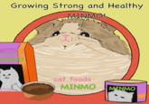 Happy 20 years Silent Hill 3!!  Growing Strong and Healthy… MINMO! Growing Strong and Healthy 000 000 MINMO! CATFOOD cat foods MINMO FISH MINMO