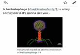 ZA A bacteriophage (/bæk'tiǝrioufeid3/), is a tiny compyuter & it's gonna get you.. Structural model at atomic resolution of bacteriophage T4