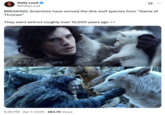 Tweet by Daily Loud that reads, "BREAKING: Scientists have revived the dire wolf species from “Game of Thrones” They went extinct roughly over 10,000 years ago 👀"