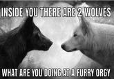 INSIDE YOU THERE ARE 2 WOLVES WHAT ARE YOU DOING AT A FURRY O---