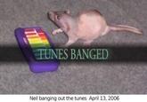 TUNES BANGED Neil banging out the tunes April 13, 2006