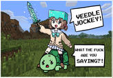 VEEDLE JOCKEY! WHAT THE F--- ARE YOU SAYING?!