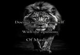 Alion Doesn't concern himself With the opinions Of Muslims