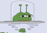 Pepe alien ufo abduction