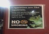 Cigarettes are like squirrels. They are perfectly harmless until you put one in your mouth and light it on fire. NO SMOKING evilmilk.com
