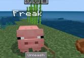 A screenshot of a Minecraft pig named Freak on a lead. The "Unleash" command is shown underneath the pig.