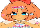 TRANS Rights