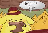 This is fine Sprinkles
