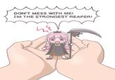 DON'T MESS WITH ME! I'M THE STRONGEST REAPER!