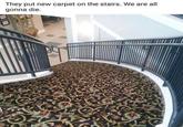 They put new carpet on the stairs. We are all gonna die.