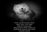 THE LION DOES NOT SAY "NO" TO THE DRUG DEALER, BECAUSE THE LION IS ALWAYS HIGH ON DAT GOOD S---