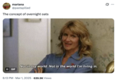 A GIF featuring Laura Dern as Amy in the HBO show _Enlightened_. The GIF shows Dern dressed in a light blue collared shirt, saying, "Not in my world. Not in the world I'm living in." This tweet reads, "The concept of overnight oats."