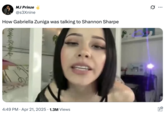 TMZ broke the news that ESPN commentator Shannon Sharpe was being sued for $50 million by an anonymous woman who accused him of being sexually violent against her. This tweet by @s3Xnine shows a screenshot, supposedly taken from an adult actor named DutchessRavenna, with the text, "How Gabriella Zuniga was talking to Shannon Sharpe."