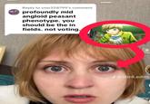 A meme comparing the profoundly mid angloid peasant girl to Chie.
