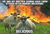 ME AND MY BROTHER COMING BACK FROM KITCHEN AFTER MAKING MILKSHAKE DELICIOUS