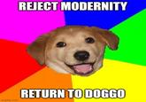 imgflip.com REJECT MODERNITY RETURN TO DOGGO