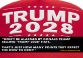TRUMP 2028 "DON'T BE ALARMED BY DONALD TRUMP SELLING 'TRUMP 2028' HATS. THAT'S JUST HOW MANY POINTS THEY EXPECT THE DOW TO DROP." -STEVE HOFSTETTER