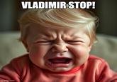 imgflip.com VLADIMIR STOP!