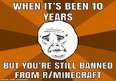 WHEN IT'S BEEN 10 YEARS BUT YOU'RE STILL BANNED FROM R/MINECRAFT made with mematic