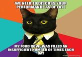 WE NEED TO DISCUSS YOUR PERFORMANCE AS OF LATE MY FOOD BOWL WAS FILLED AN INSUFFICIENT NUMBER OF TIMES EACH DAY makeameme.org