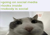 not social at all | /r/memes >going on social media >looks inside >nobody is social imgflip.com