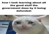 how I look learning about all the good stuff the government does by it being defunded: