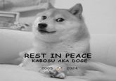 REST IN PEACE KABOSU AKA DOGE 2005 2024