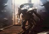Alien 3 suit