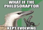 WHAT IF THE PHILOSORAPTOR KEPT EVOLVING