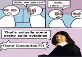 A webcomic meme by X user @ThisStupidTwink. The comic features Rene Descartes popping in on two stoners asking if they think they're real, saying that the fact that they think they're real is "some pretty solid evidence."