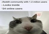 How odd >Reddit community with 1.2 milion users >Looks inside 24 online users imgflip.com