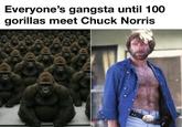 Everyone's gangsta until 100 gorillas meet Chuck Norris NEXT