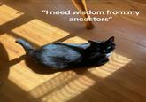 "I need wisdom from my ancestors"