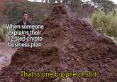 When someone explains their 12-step crypto business plan That is one big pile of s---