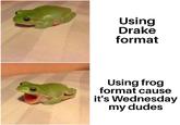 It's better Using Drake format Using frog format cause it's Wednesday my dudes