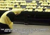 THE WORKER SINKS TO THE LEVEL OF A COMMODITY AND BECOMES INDEED THE MOST WRETCHED OF COMMODITIES - KARL MARX