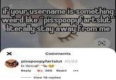 if your username is something weird like "pis spoopy fart slut literally stay away from me Comments pisspoopyfartslut 01/22 b-bro Reply 366 React View 18 replies
