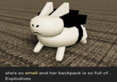 she's so small and her backpack is so full of. Explodives