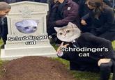 Schrödinger's cat Schrödinger's cat