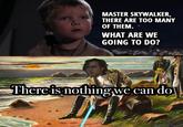 MASTER SKYWALKER, THERE ARE TOO MANY OF THEM. WHAT ARE WE GOING TO DO? There is nothing we can do
