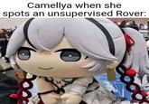 Camellya when she spots an unsupervised Rover: