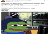 A "meme":https://knowyourmeme.com/memes/memes using "Pepe the Frog":https://knowyourmeme.com/memes/pepe-the-frog and a "4chan Greentext Story":https://knowyourmeme.com/memes/greentext-stories format.