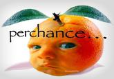 A "photoshop":https://knowyourmeme.com/memes/sites/photoshop of a baby orange, based on the Pear Baby "meme":https://knowyourmeme.com/memes/memes.