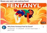 Roses are red, I am eating food FENTANYL Why Does Fentanyl Feel So Good? Kurzgesagt - In a Nutshell 2,3 млн переглядув · 1 день тому 14:58