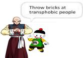 throw-bricks-at-transphobic-people-know-your-meme