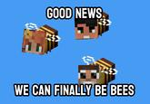 GOOD NEWS WE CAN FINALLY BE BEES